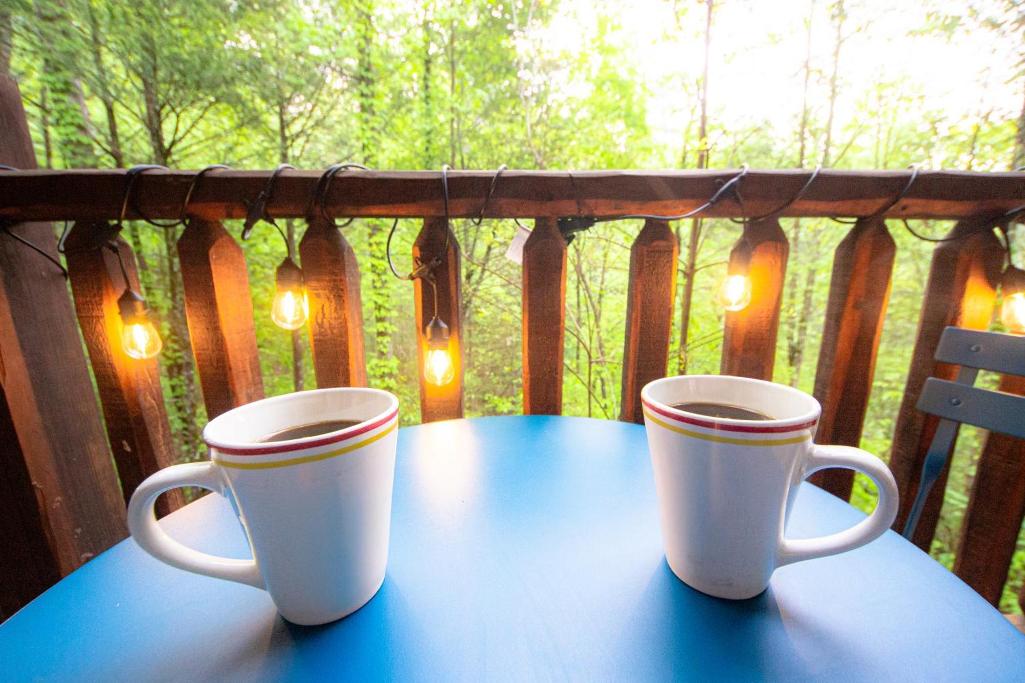 Love Me Tender Studio Cabin Sevierville Bilik gambar