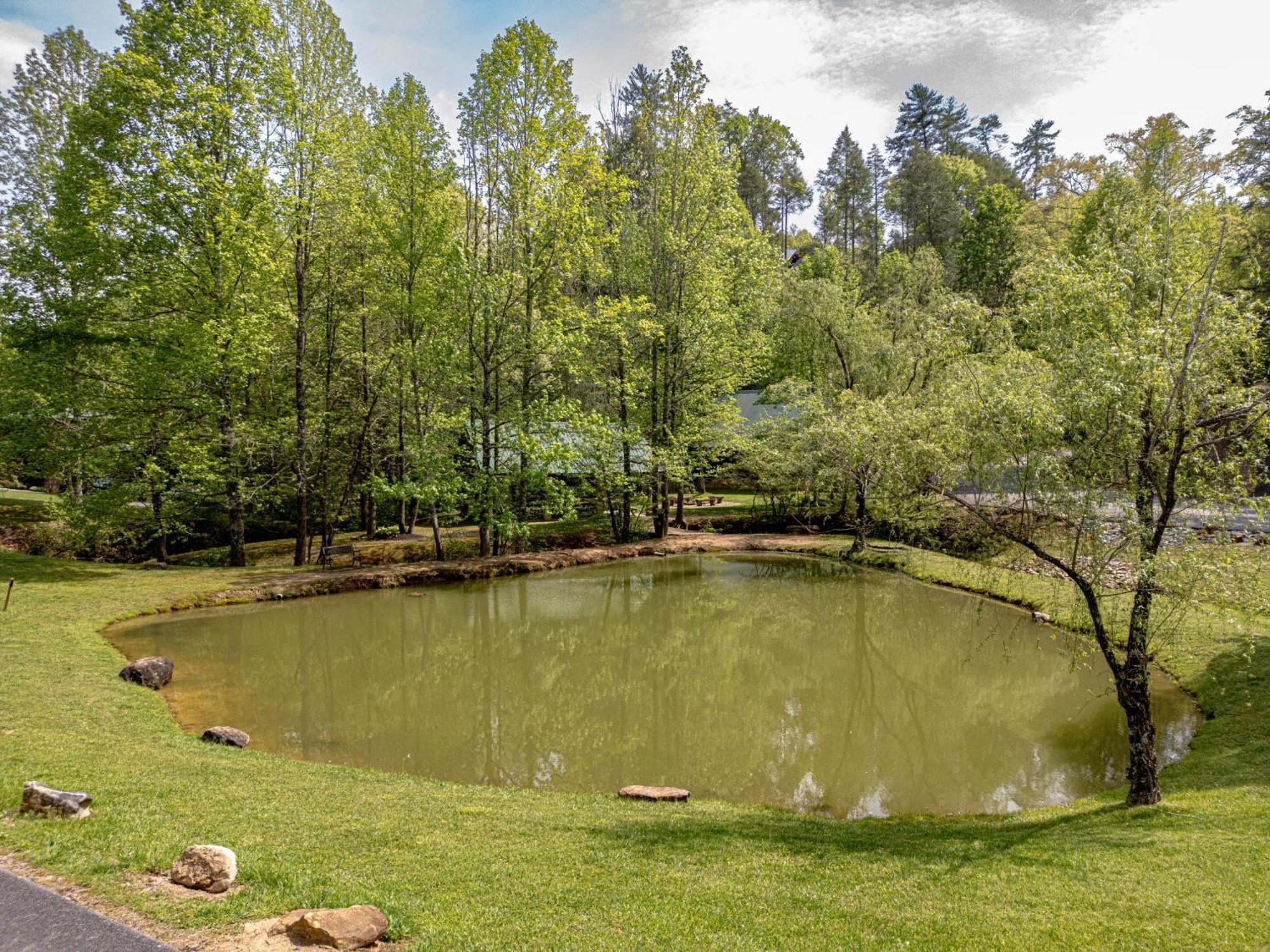 Love Me Tender Studio Cabin Sevierville Bilik gambar